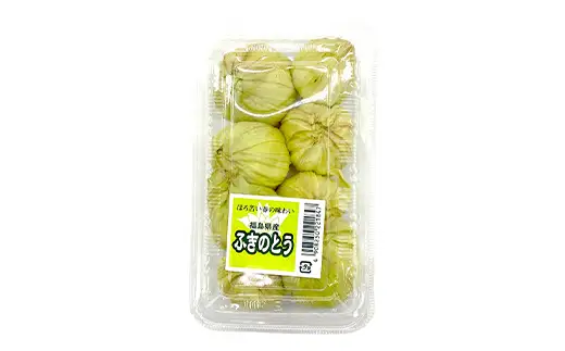 〈先行予約〉天栄村×鏡石町コラボ返礼品 山菜ごちそうセット ふきのとうとタラの芽（各100g） 山菜 野菜 食品 フキノトウ たらのめ 福島県 天栄村 鏡石町 F21T-487