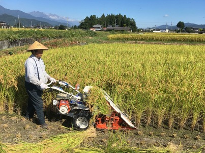 『どじょうのいる田んぼのお米』コシヒカリ 白米 約27kg | 馬場農園