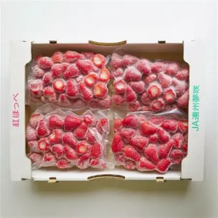 掛川産『ミズノ農園の完熟冷凍紅ほっぺ』500g×4袋【配送不可地域：離島・北海道・沖縄県・東北・中国・四国・九州】【1234934】