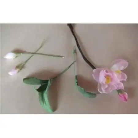 【冬 わびすけつばき】四季を彩る創作草もの盆栽(工芸品)～工房椿【配送不可地域：離島・北海道・沖縄県】【1599117】
