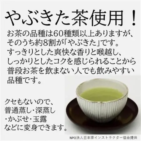 深蒸し掛川茶ティーバッグ　計200個入【配送不可地域：離島・沖縄県】【1650196】