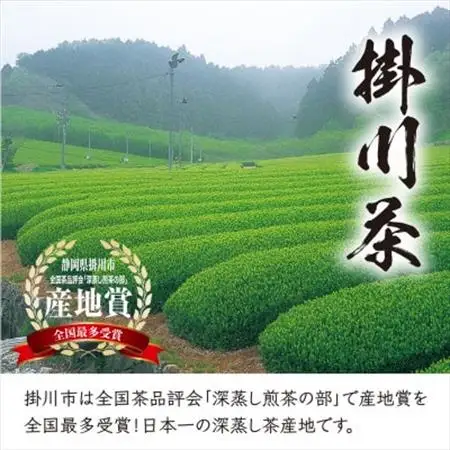 【掛川茶】高級深蒸し煎茶「掛川の匠」100g×3本セット　お茶の葛野【配送不可地域：離島・沖縄県】【1652182】