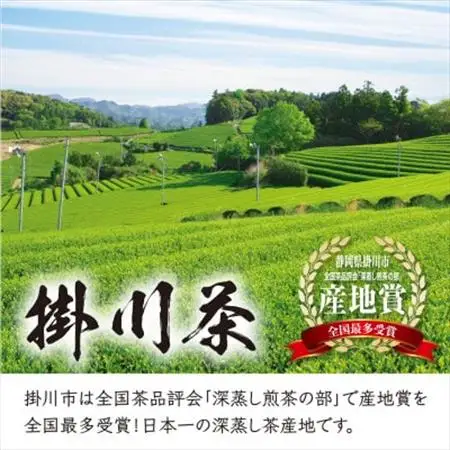 【掛川茶】特上深蒸し煎茶「深蒸し茶の郷 掛川」100g×3本セット　お茶の葛野【配送不可地域：離島・沖縄県】【1652184】