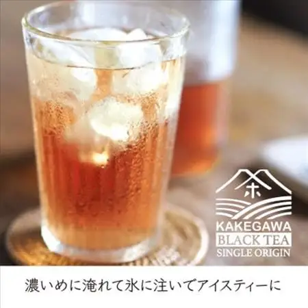 掛川和紅茶ティーバッグ(2.5g×20個)4袋セット　カップ用ひも付き　シングルオリジン　お茶の葛野【配送不可地域：離島・沖縄県】【1652188】