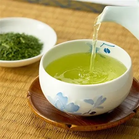 茶審査技術八段 掛川最高有段者 大井丈司監修!深蒸し掛川茶一番茶製造!100g×7袋セット【配送不可地域：離島・沖縄県】【1679954】