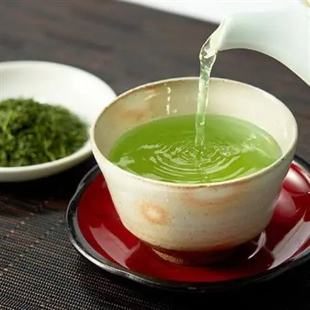 日本茶AWARD2021審査員奨励賞! 世界農業遺産認定　茶草場農法の掛川かぶせ茶100g×8本【配送不可地域：離島・沖縄県】【1679955】