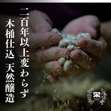 栄醤油 こいくち 2本セット【配送不可地域：離島・沖縄県】【1681739】