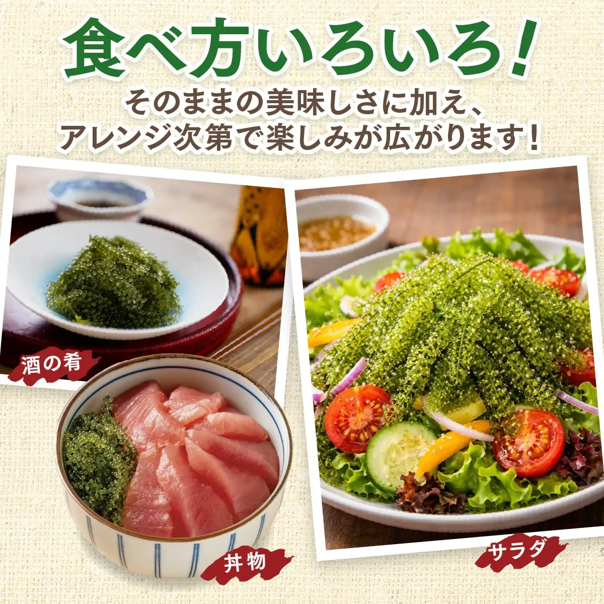 海ぶどう　100g× 2 パック（ご自宅用）