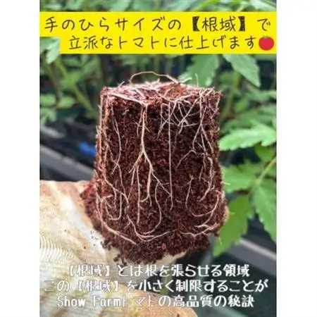 Show Farmの『大玉トマト』(品種:桃太郎トマト)計 約3.5～4kg【配送不可地域：離島・沖縄県】【1721445】