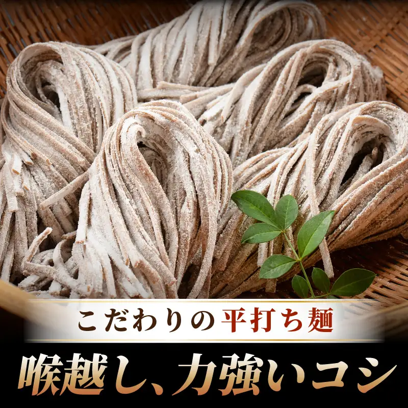 【年越し限定 】越前おろしそば 生そば4人前（つゆ付き）「めん房新月亭」 冷蔵【蕎麦】 [e21-a004_12]
