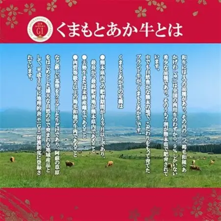 GI　くまもとあか牛　特選すきやき　500g　(美里町)【配送不可地域：離島】【1727272】