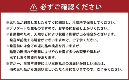 熊本県産 アールスメロン 2玉 熊本県 果物 くだもの フルーツ 熊本県産 国産 メロン ジューシー めろん 【 2026年5月下旬発送開始 】