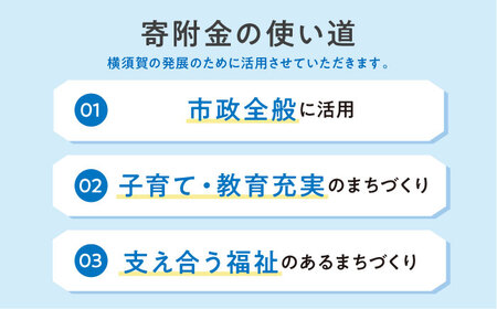 【応援寄附金】神奈川県横須賀市 返礼品なしのご寄附（300,000円）【横須賀市】[AKZZ036]