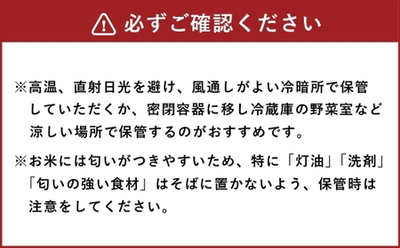 【 令和7年産 】 くまさんの輝き 3kg 掛け干し米 人吉球磨 九州 粘り 甘み 旨み お米 米 コメ こめ 白米 白飯 ご飯 米粒 飯 国産 熊本県産 濃厚