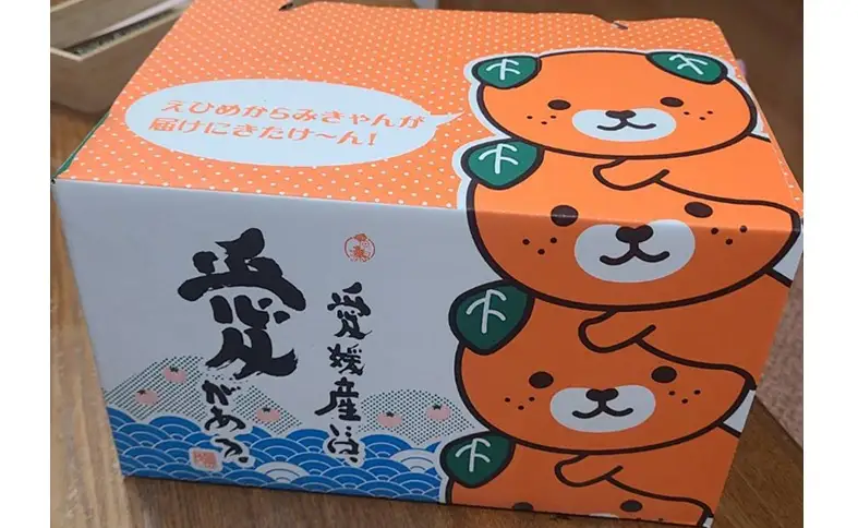 【2026年先行予約】みかん 愛果28号 贈答用 【11月下旬から順次発送予定】 紅まどんなと同一品種 柑橘 フルーツ 愛媛 伊予市｜B548