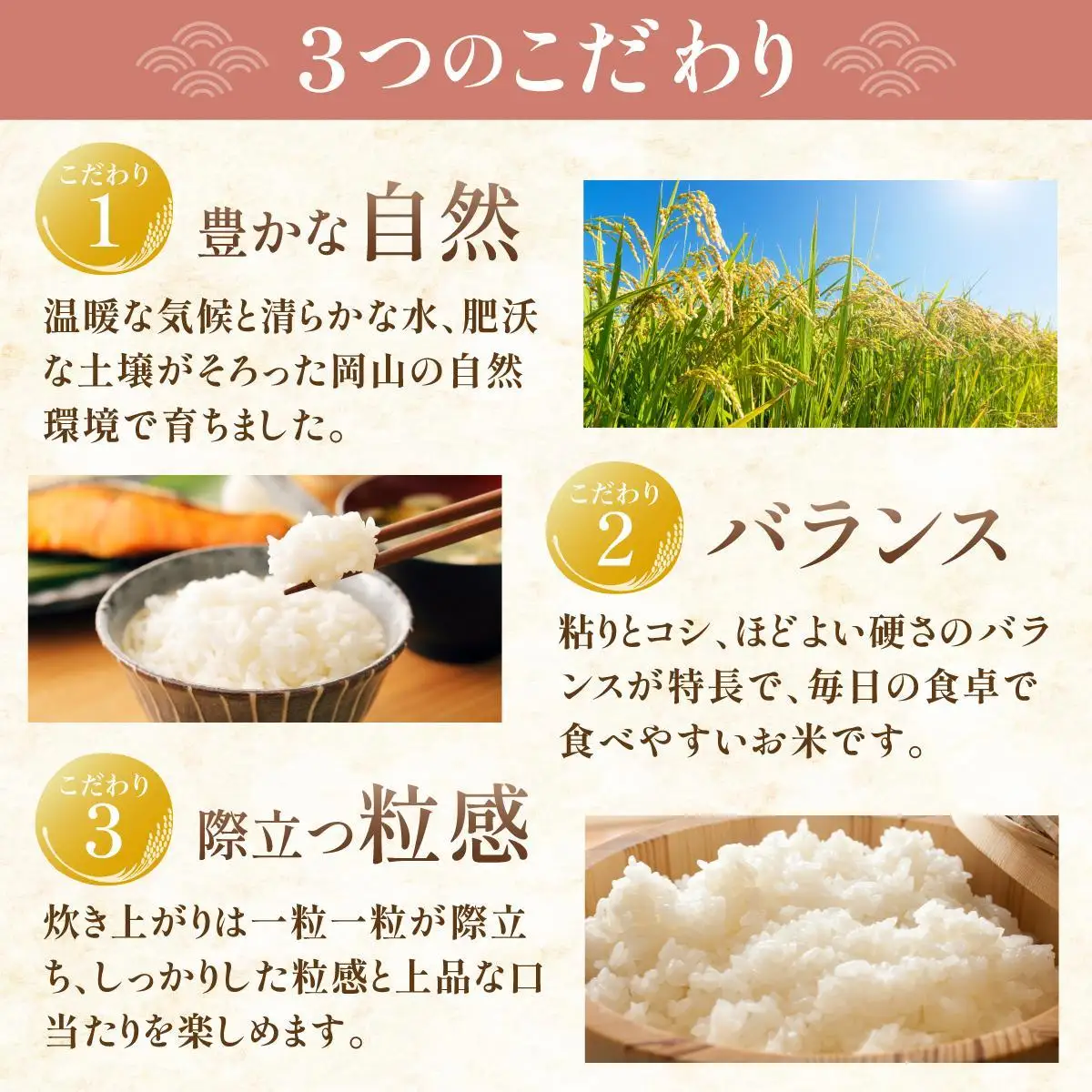 令和7年 岡山県産 あけぼの 10kg(5kg×2袋)|お米 精米 10kg 白米10kg 岡山米 国産白米【055-a002】