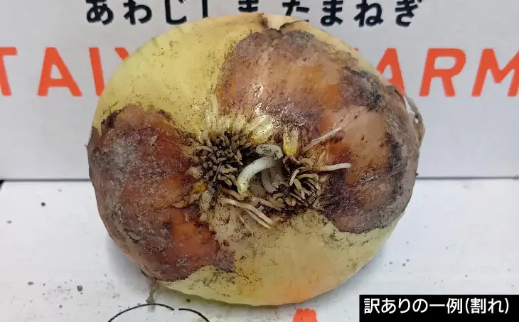 【完熟玉ねぎ予約】訳あり品　淡路島産完熟玉ねぎ 10kg　◆配送６月～翌年１月