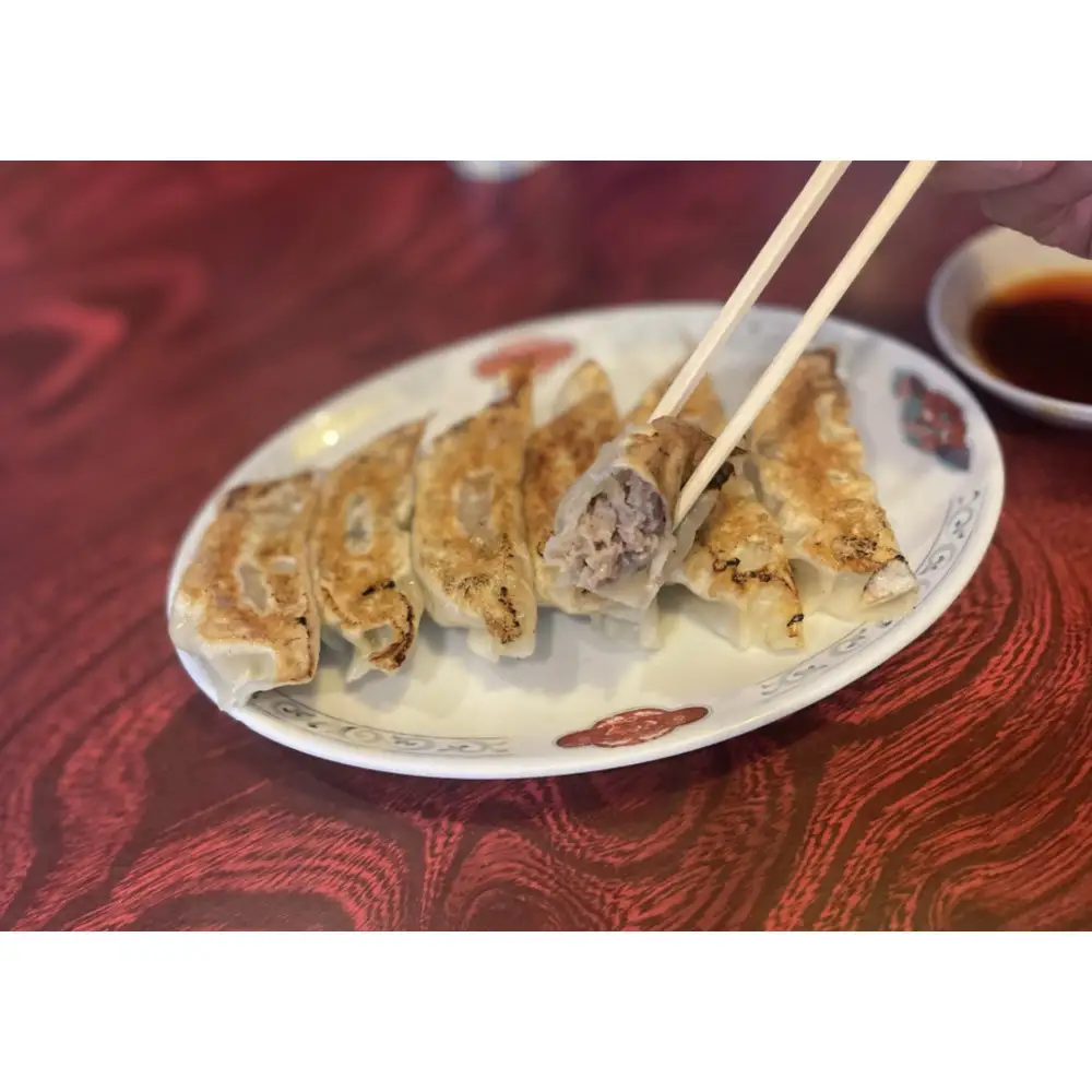 肉餃子 45個【配送不可：沖縄県・離島】