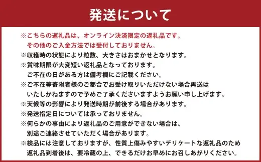 いちご 「 さちのか 」 約500g（500g×1箱） 【2027年1月上旬～3月上旬出荷予定】 果物 くだもの 果実 苺 イチゴ フルーツ 果肉 国産 長崎県産 ジューシー 甘み コク 爽やか ビタミンC 酸味