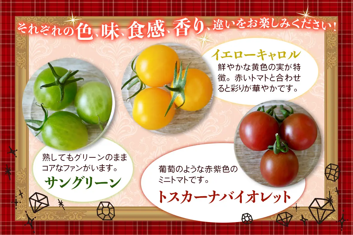 カラフルトマト 箱入り 5品種詰め合わせ 500g ひと口食べたらくせになる！｜ミックス 甘い プレゼント 贈り物 ギフト [1040]