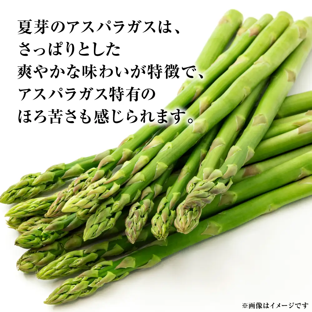 アスパラガス 800g （M～2Lサイズ混合） アスパラ 新鮮 夏野菜 野菜 やさい 旬 産地直送 野菜ソムリエサミット 銀賞 熊本県 八代市