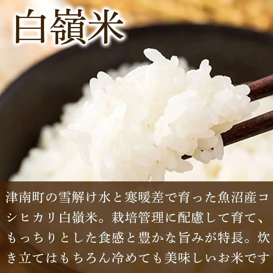 【令和8年産先行予約】【2ヶ月定期便】魚沼産コシヒカリ 白嶺米 5kg(5kg×1袋) | 津南町 魚沼