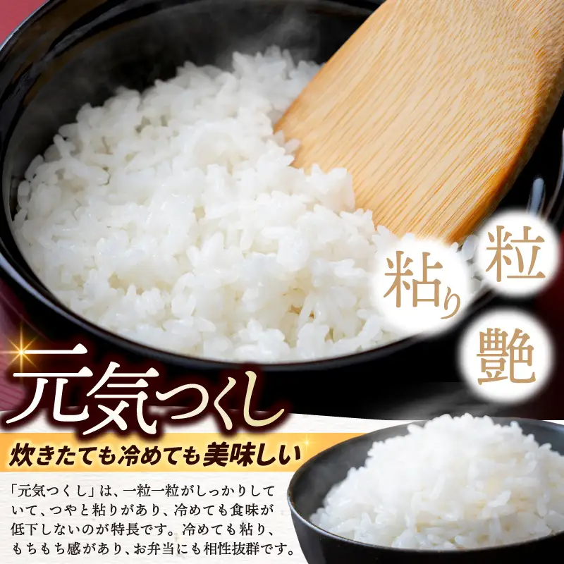 【ふるさと納税】福岡県産 元気つくし プレミアム 精米 2kg×2P（計4kg） 配送日時指定不可 2週間～2ヶ月に発送 [a0835] ※配送不可：離島【返礼品】添田町 ふるさと納税