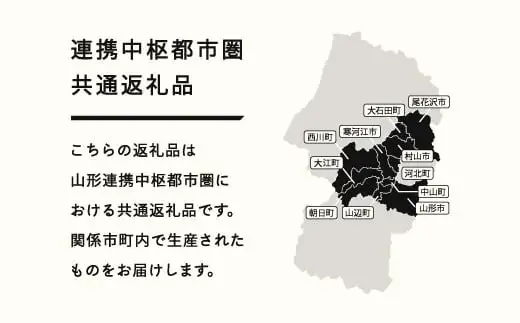 《先行予約》2026年 山形県産 紅秀峰 さくらんぼ 2Lサイズ 180g 2パック入り ※沖縄・離島への配送不可 ts-bs2lp360