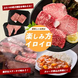 【父の日ギフト】希少部位 ヒウチ＆イチボ A5等級鹿児島県産黒毛和牛食べ比べステーキ カミチク IB112-009f