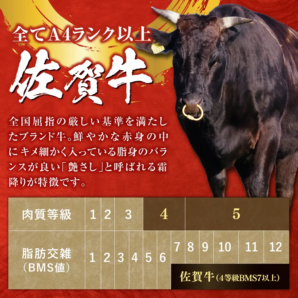 厳選佐賀牛ヒレステーキ 計200g（約100g×2） / 希少部位 黒毛和牛 ヒレ フィレ 肉 / 佐賀県 / 有限会社片岡精肉店[41AEAC021]