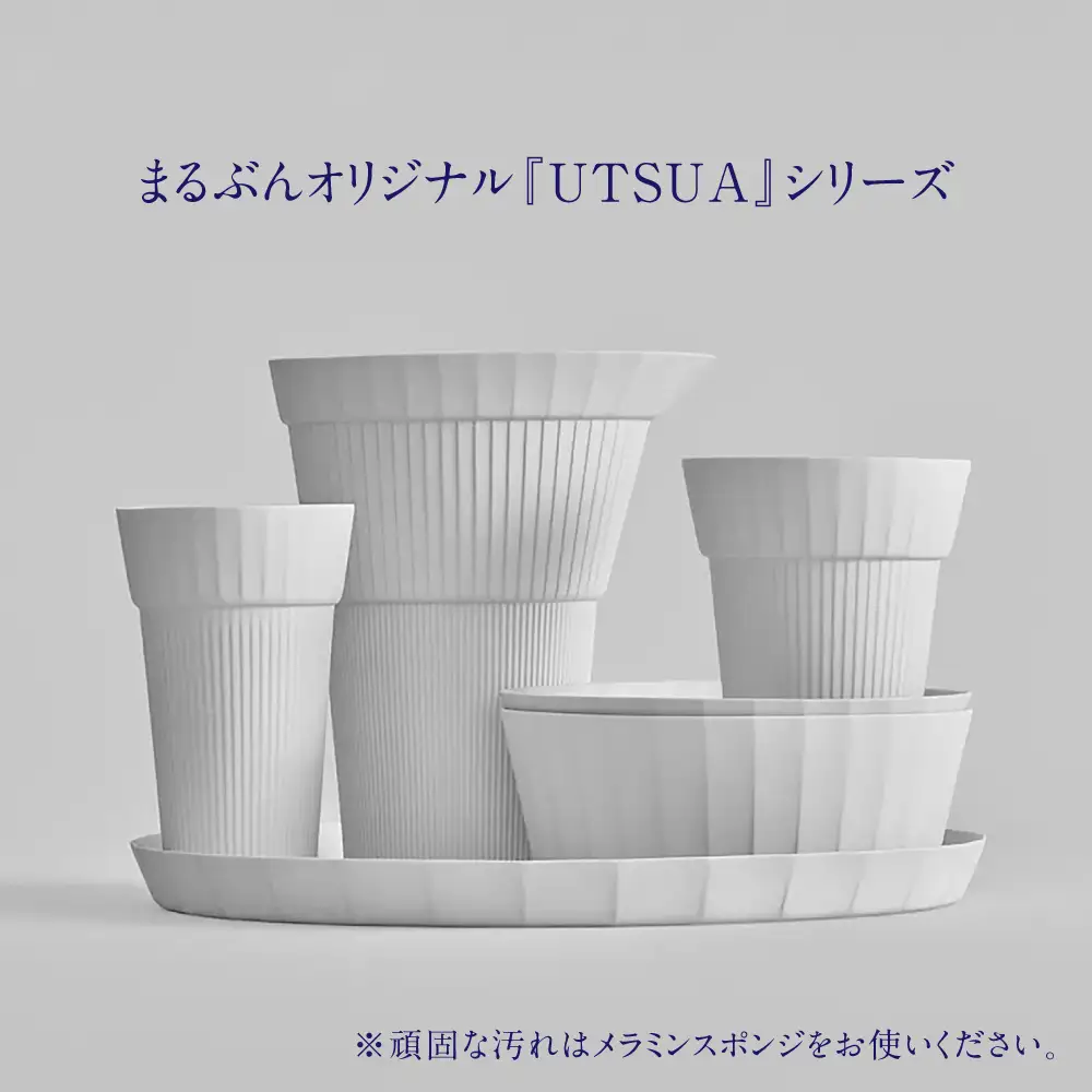 【有田焼】Cup Wide Matt White 2点 / 食器 有田焼 / 佐賀県 / 株式会社まるぶん [41APCD089]