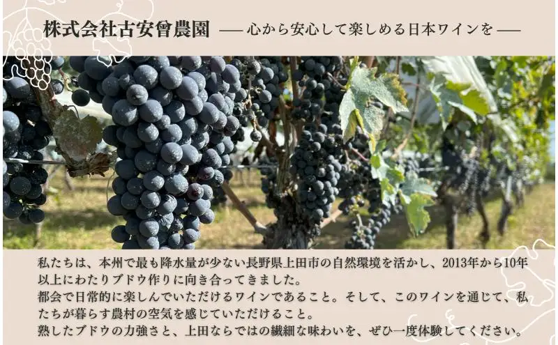 Koaso Refined Mellowness 2023 ワイン 日本ワイン 赤ワイン 赤 上田市