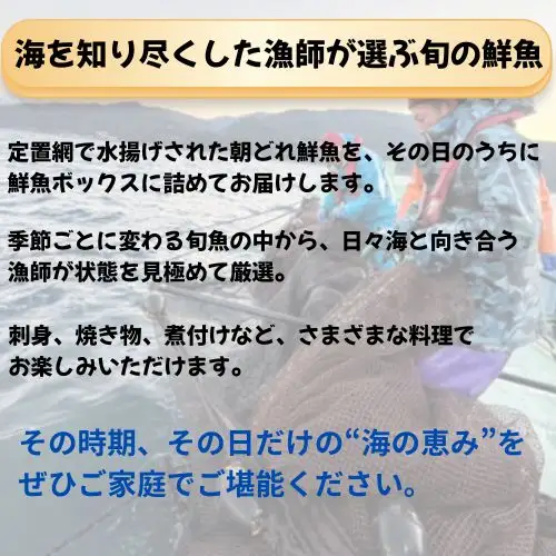 133002　定置網朝どれ鮮魚ボックス4kg