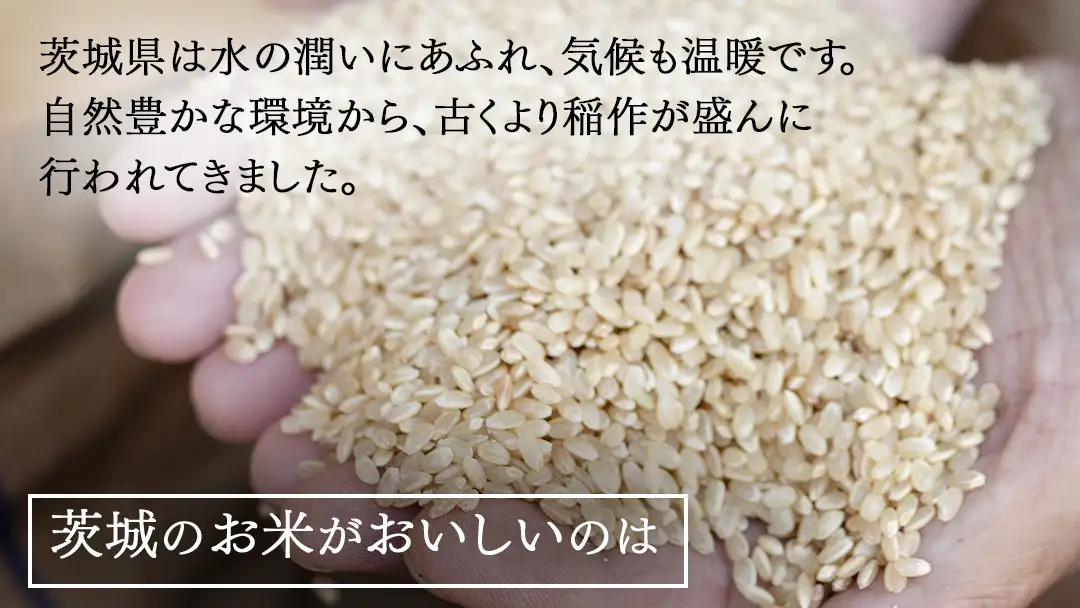 令和7年産 茨城県産 玄米 特別栽培米 コシヒカリ 30kg （30kg×1袋）