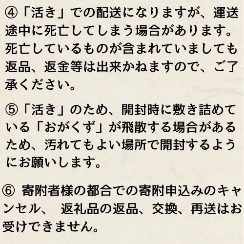 133004　活　伊勢海老（1kg）