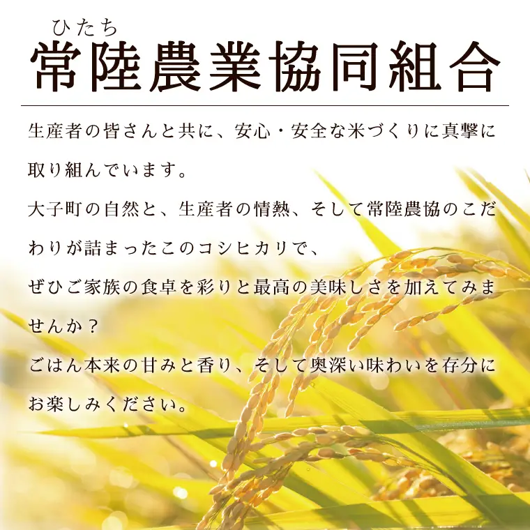 令和7年産　常陸農協の大子町産コシヒカリ5kg×2袋 計10kg｜茨城県 大子町 お米 白米 精米 こしひかり ふっくら もっちり コンテスト受賞（AH015）