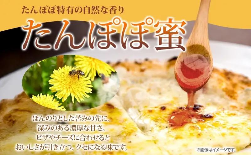北海道 美深産 はちみつ 2種 あざみはちみつ たんぽぽはちみつ 各200g タンポポ蜜 タンポポ タンポポ蜂蜜 アザミハチミツ アザミ蜜 あざみ蜜 生 国産 生はちみつ 無濾過 非加熱 無加糖 ポリフェノール お取り寄せ 送料無料 北海道産