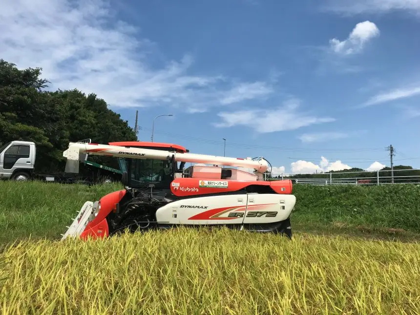 【地元生産者の思いが伝わる一品】特別栽培米こしひかり5kg 令和7年産米◇