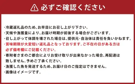 北海道産 船上活〆サケメス 約2.5kg 【2026年9月上旬～10月下旬まで発送予定】 鮭 イクラ 卵 活〆 塩焼き 冷凍 旬 魚 魚類 魚介 魚介類 食材 国産 サケ さけ フライ ムニエル サケフレーク 鮭フレーク