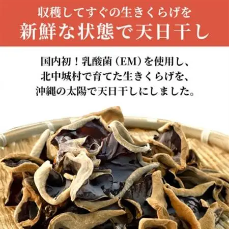 天日きくらげ【40g×6袋】　きくらげ小町【1714763】
