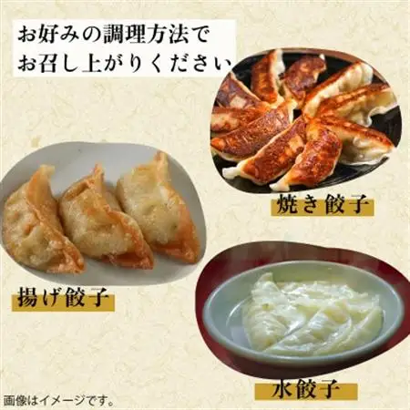 黒豚100%ギョウザ(10個入×8パック)【配送不可地域：離島】【1718869】