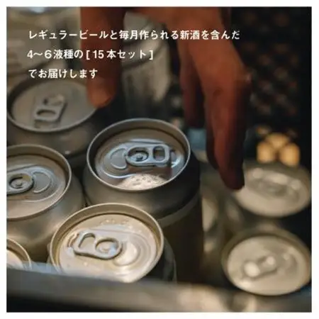 名水百選「清水の湧水」で造られたクラフトビール15本【配送不可地域：離島】【1721710】
