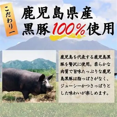 国産素材にこだわった鹿児島黒豚餃子120個【配送不可地域：離島】【1722553】