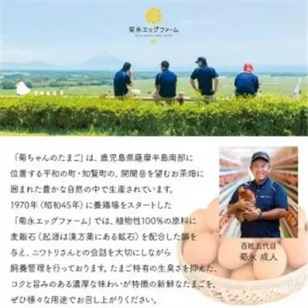 【発送月固定定期便】菊ちゃんのたまご(特級卵)(1・2・3月コース)全3回【4084782】