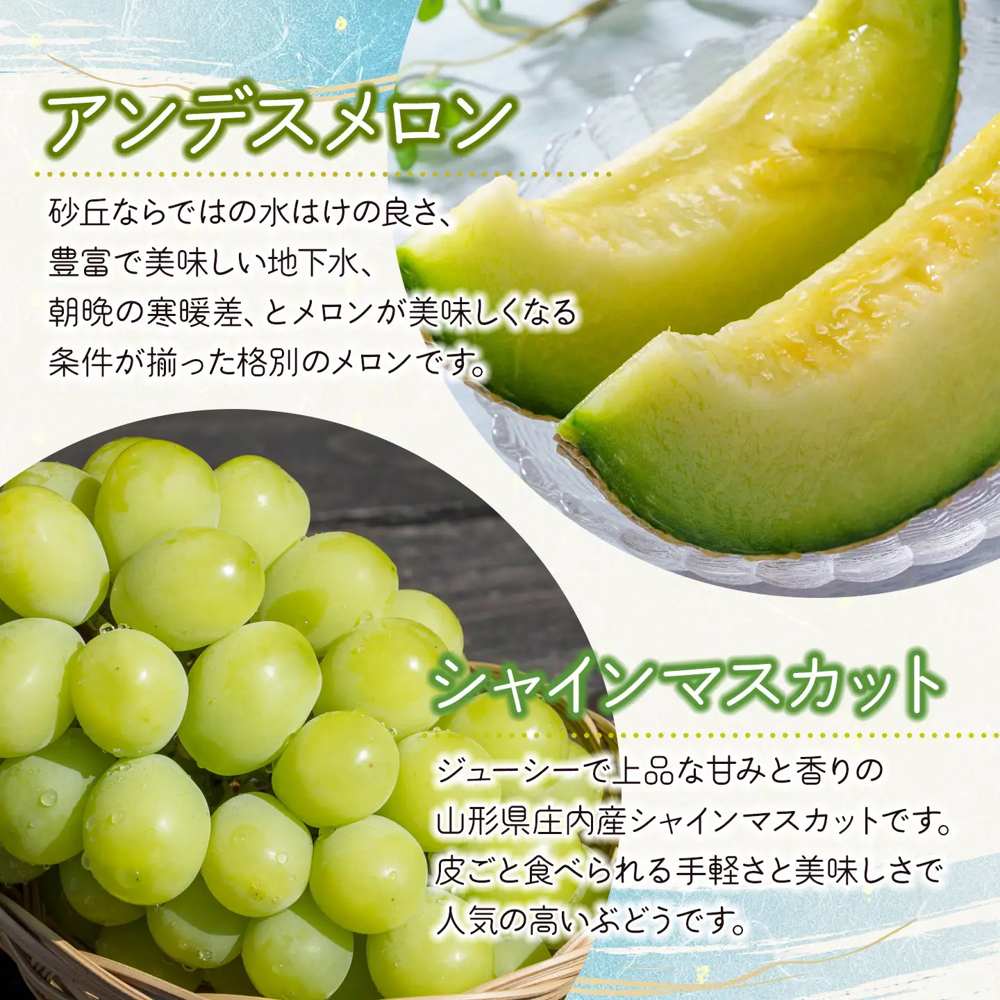 【令和8年産先行予約】 フルーツの定期便【5回お届け】　山形県鶴岡市　鶴岡中央青果　| 果物定期便 果物 くだもの フルーツ サクランボ メロン 梨 シャインマスカット 庄内柿 旬 2026年産 人気 美味しい お取り寄せ 返礼品