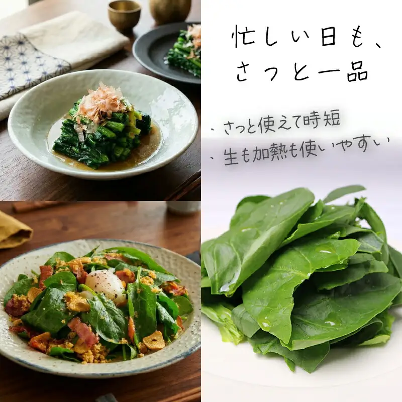 サラダほうれん草 サラダセット | ほうれんそう 水耕 栽培 新鮮 葉物 野菜 ドレッシング 南国市