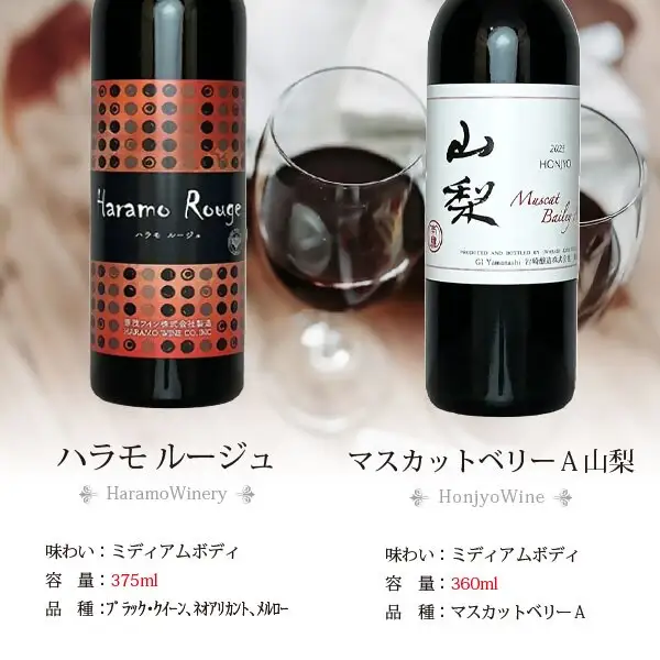 ワイン 飲みきりハーフボトル 赤ワイン 5本セット（CKH）B17-771
