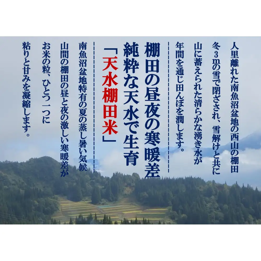 令和8年産新米予約【天水棚田米】雪蔵熟成塩沢産コシヒカリ精米5kg1回「とやの里山継承プロジェクト」【銘柄米 ブランド米 精米 こしひかり コシヒカリ 魚沼産 新潟米 お米 米 こめ】【2026年10月下旬より順次発送予定】