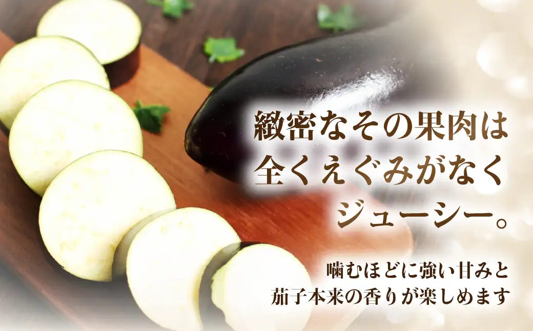 《先行予約》大玉なす とげなし輝楽 2kg 茄子 なす ナス 旨い 甘い 艶 ツヤ ハリ 揚げ物 揚げ茄子 焼茄子 麻婆茄子 輝楽 愛知県 豊橋市