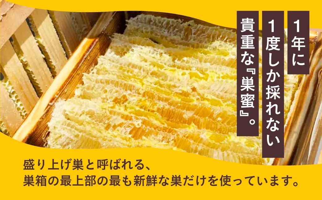 はちみつたっぷり巣蜜≪200g≫ 蜂蜜 はちみつ 国産 非加熱 純度100% 巣蜜 盛り上げ巣 常温 はちみつ ハチミツ 蜂蜜 ハニー 蜜切れ セット ハチミツセット 贈答 プレゼント 贈り物 貴重 希少 おススメ 高級 送料無料 愛知県 豊橋市